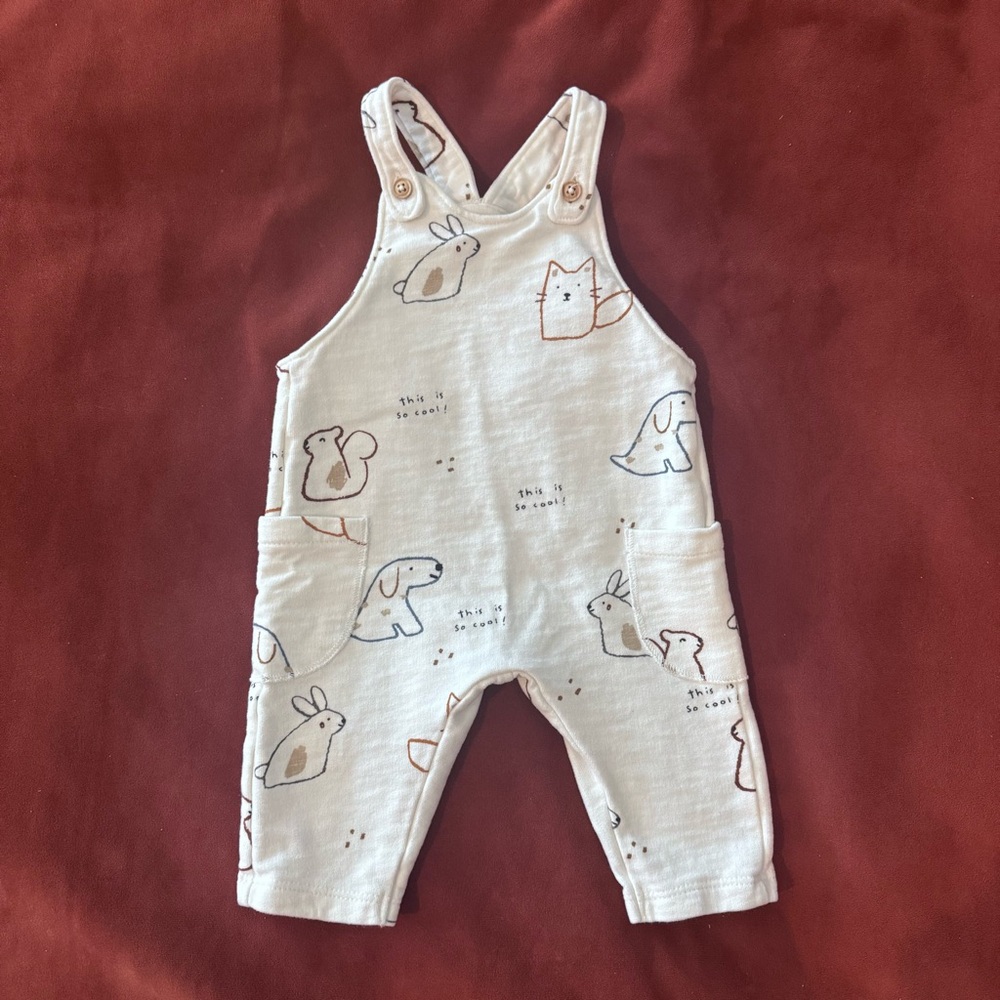 Zara Kids Overalls 3-6 months